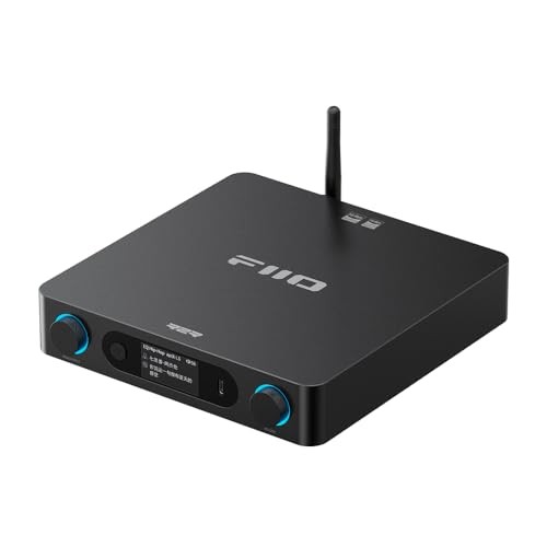 FiiO BR15 R2R (Black)