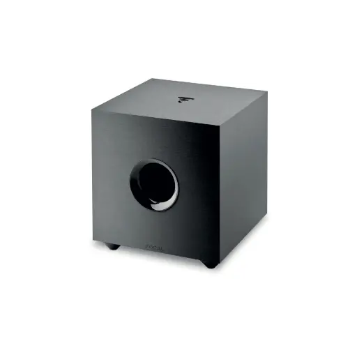 Focal Cub Evo