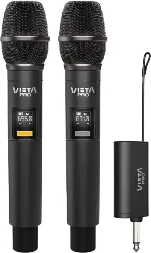 Vieta Pro Party Mic Duo